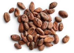 kakao Criollo