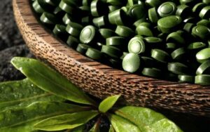 chlorella w tabletkach