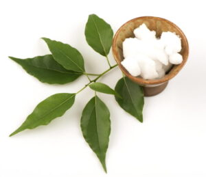 kamfora naturalna