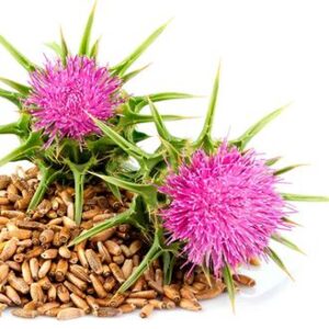 ekstrakt z nasion ostropestu